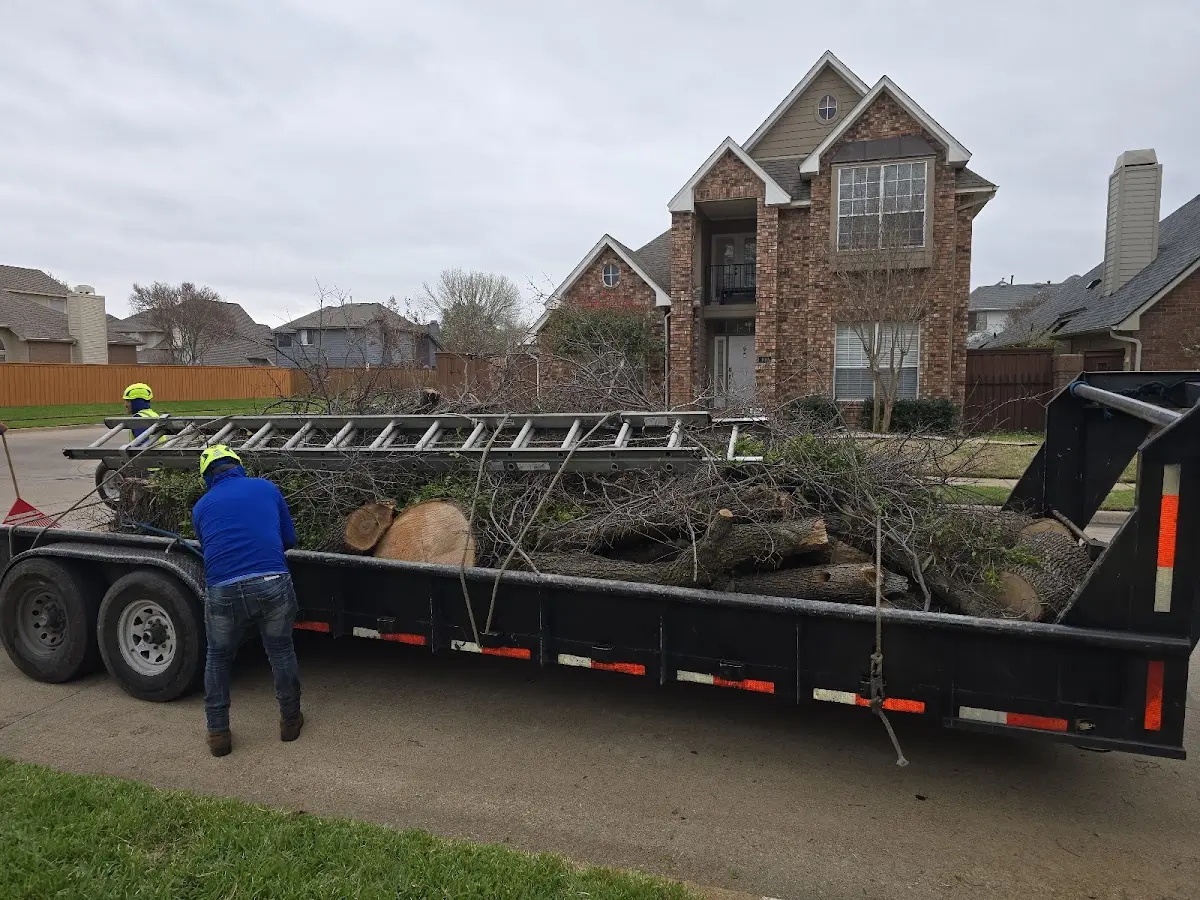 Expert Tree Removal with proper safety equipment in Richburg
